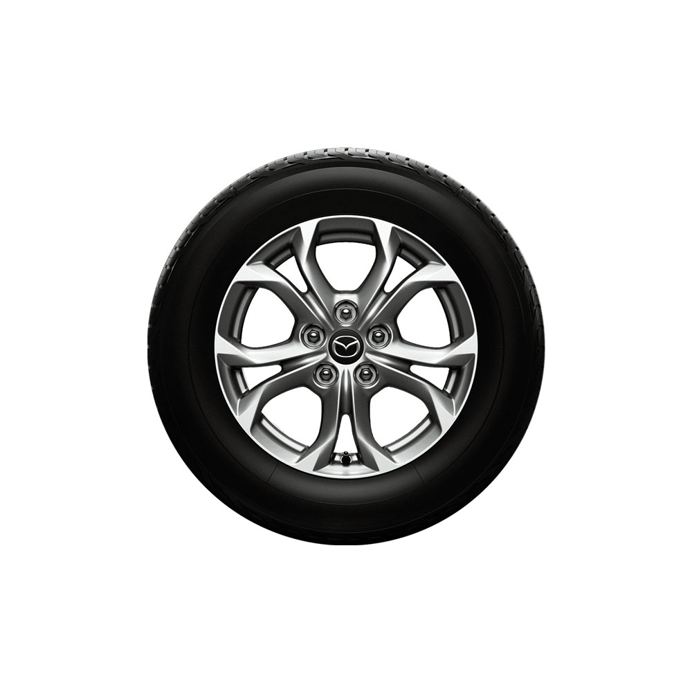 Voyager Reverse Parking